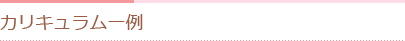カリキュラム一例